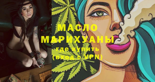 молекула духа Арсеньев