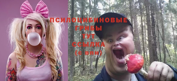 молекула духа Арсеньев