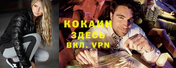 молекула духа Арсеньев