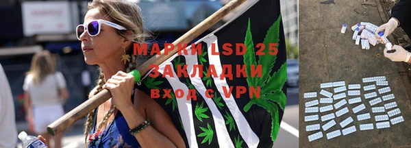 дмт Аркадак