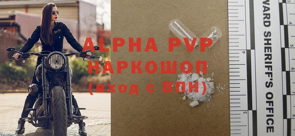 молекула духа Арсеньев