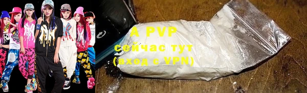 молекула духа Арсеньев