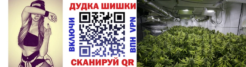 наркотики даркнет наркотические препараты Каннабис планчик Барабинск